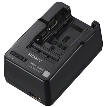 Cargador de Baterías Sony - Series H, P, V, M, W,